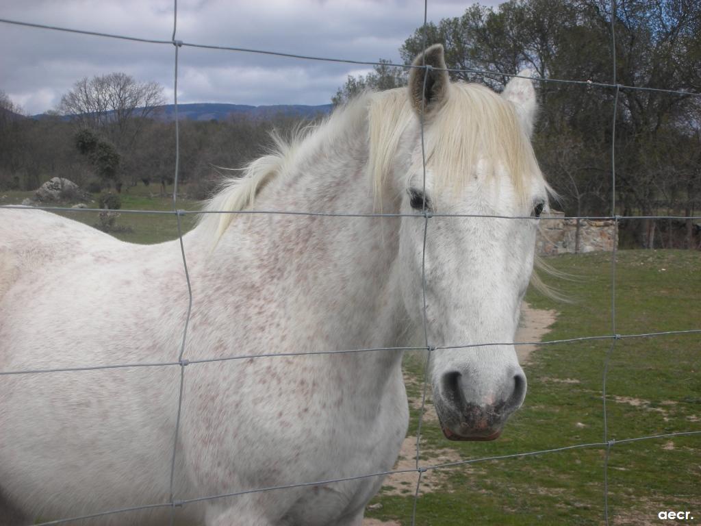 Foto de Valdemorillo (Madrid), España