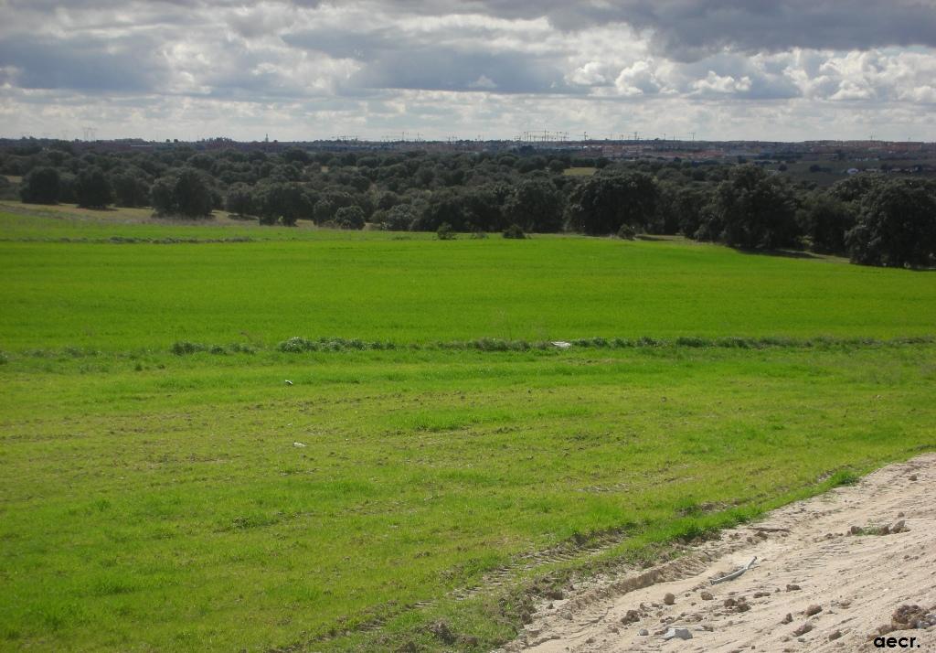 Foto de Villanueva de la Cañada (Madrid), España
