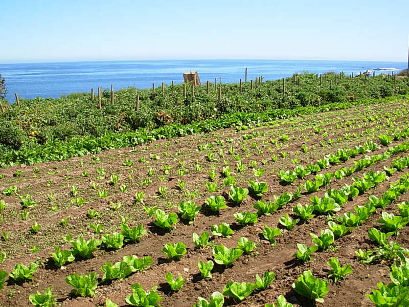 Foto de El Quisco, Chile