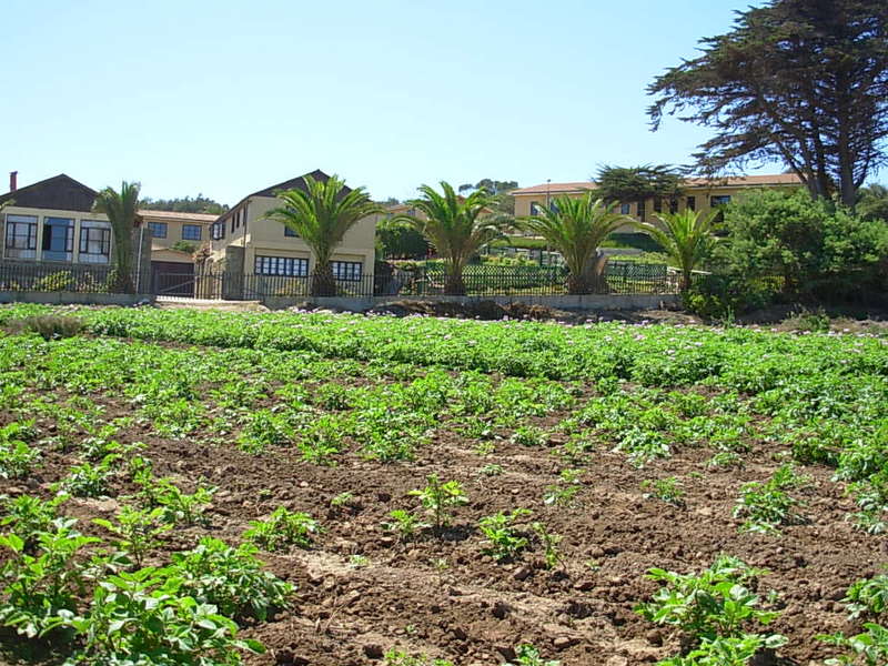 Foto de El Quisco, Chile