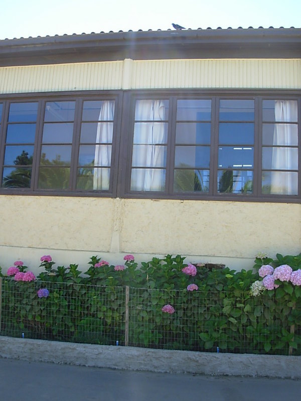 Foto de El Quisco, Chile