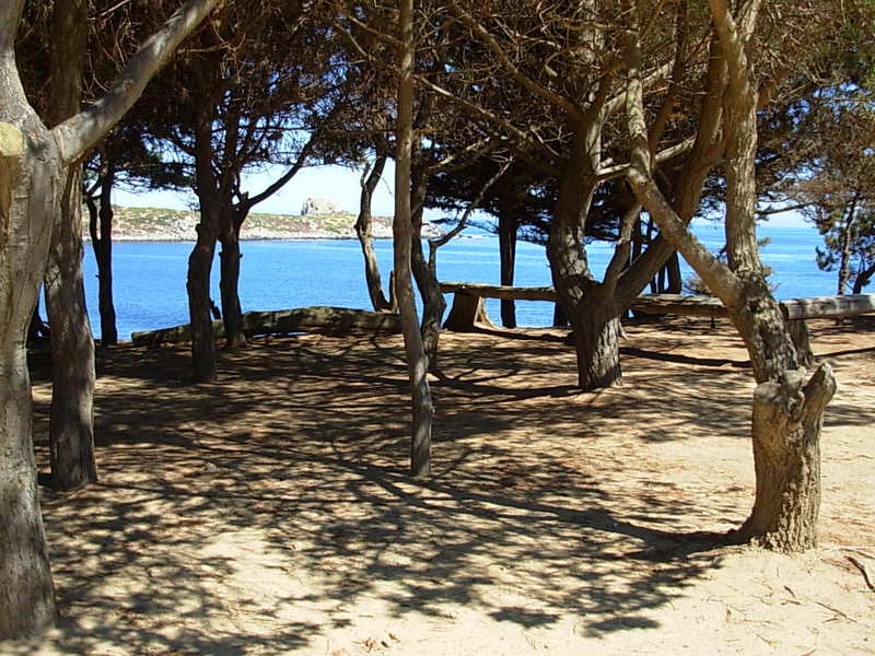 Foto de El Quisco, Chile