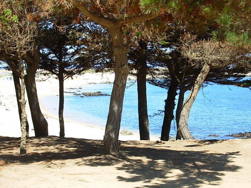 Foto de El Quisco, Chile