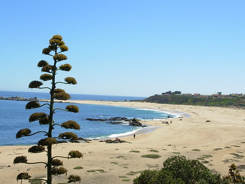 Foto de El Quisco, Chile