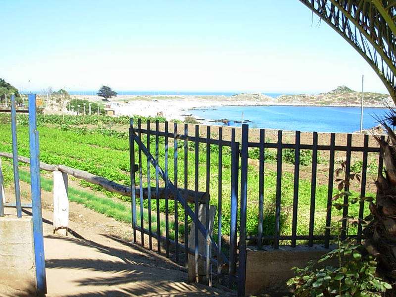 Foto de El Quisco, Chile