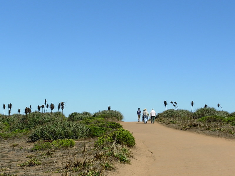 Foto de Cantalao - El Quisco, Chile