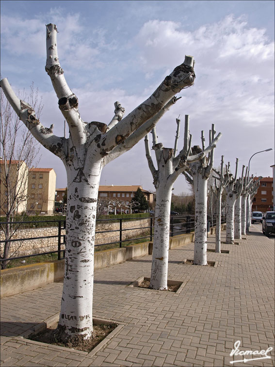 Foto de Arcos de Jalón (Soria), España
