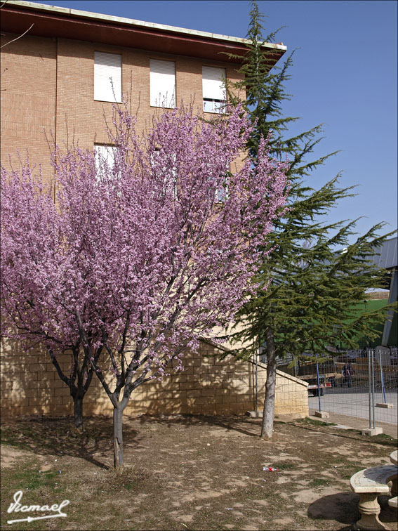 Foto de Arcos de Jalón (Soria), España