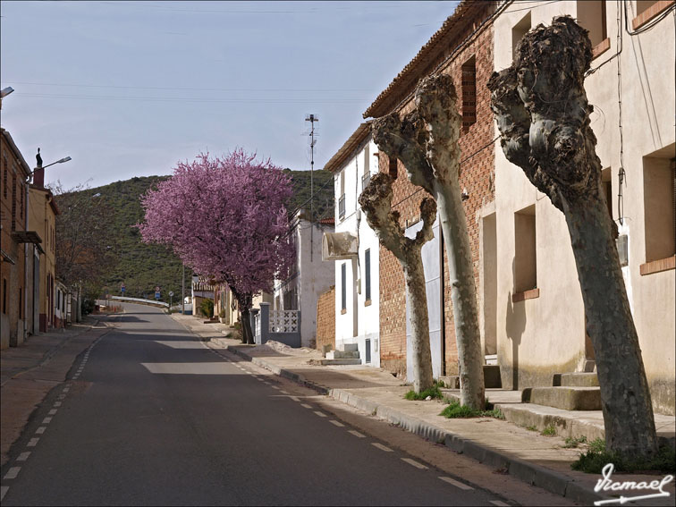 Foto de Arcos de Jalón (Soria), España