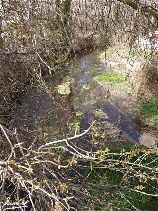 Foto de Arcos de Jalón (Soria), España