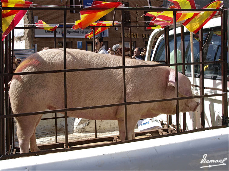 Foto de Arcos de Jalón (Soria), España