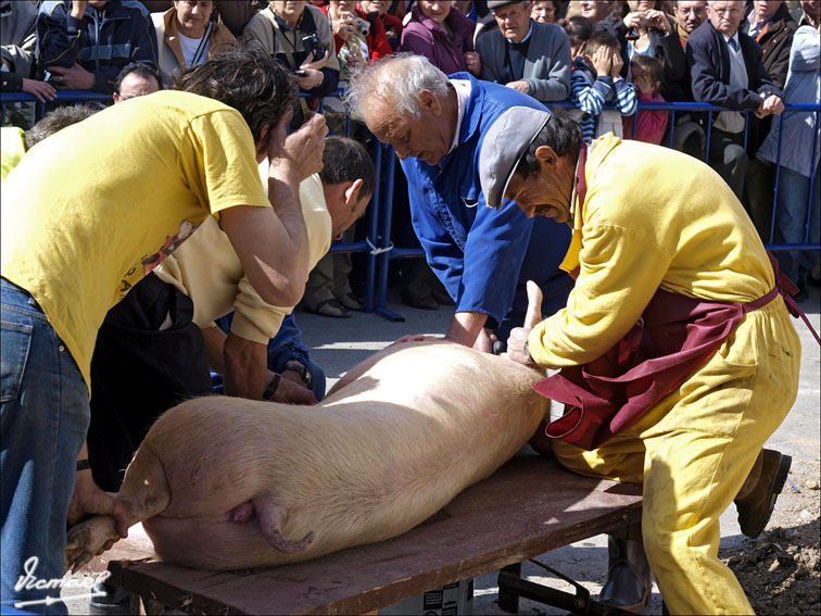 Foto de Arcos de Jalón (Soria), España