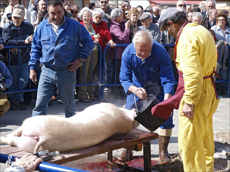 Foto de Arcos de Jalón (Soria), España