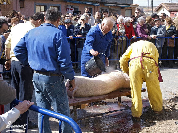 Foto de Arcos de Jalón (Soria), España