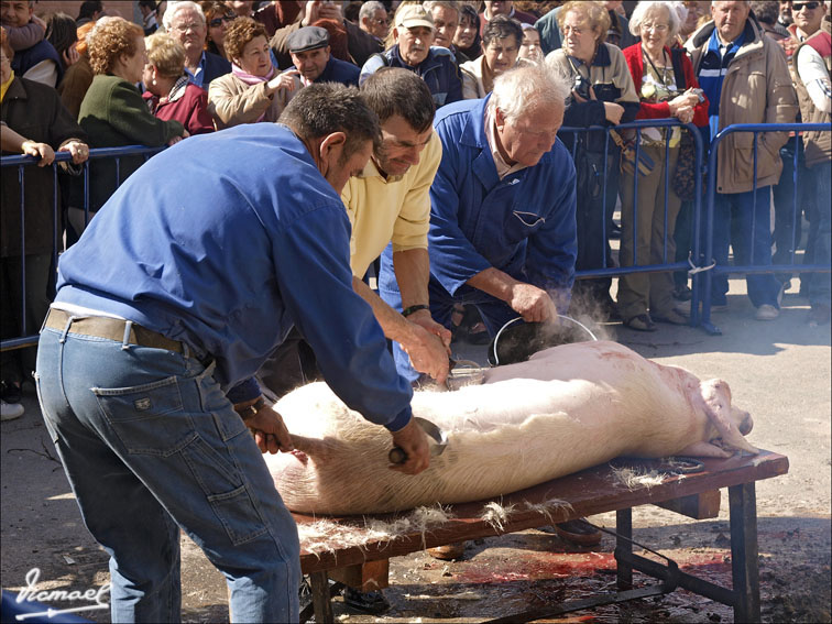 Foto de Arcos de Jalón (Soria), España
