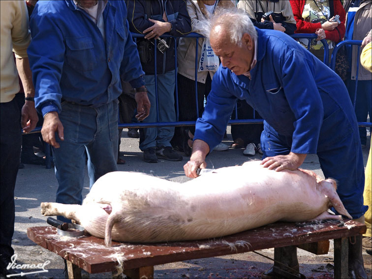Foto de Arcos de Jalón (Soria), España
