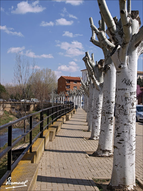 Foto de Arcos de Jalón (Soria), España
