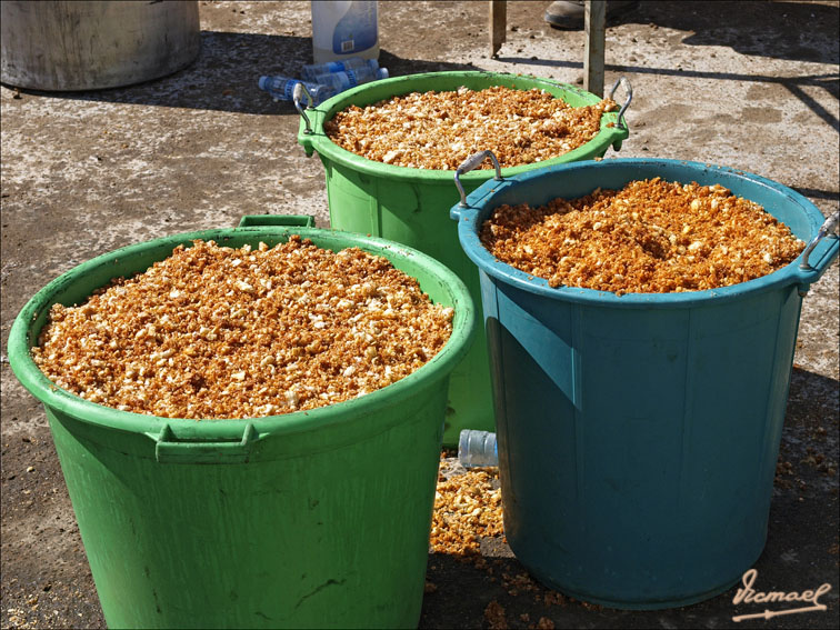 Foto de Arcos de Jalón (Soria), España