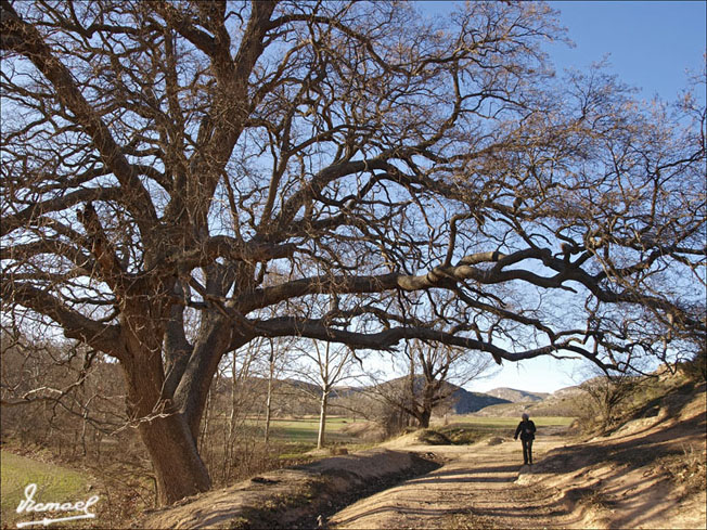 Foto de Embid de Ariza (Zaragoza), España
