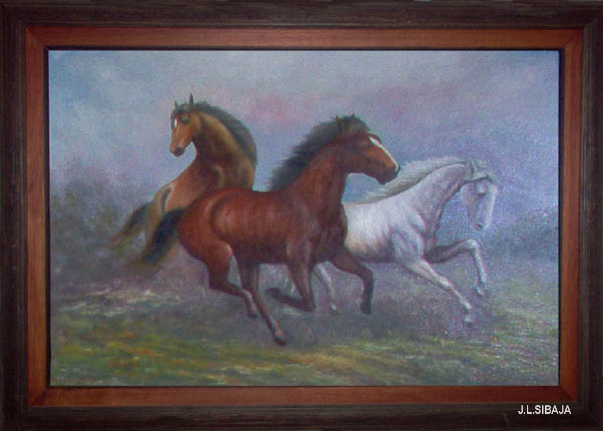 Foto de Alajuela, Costa Rica