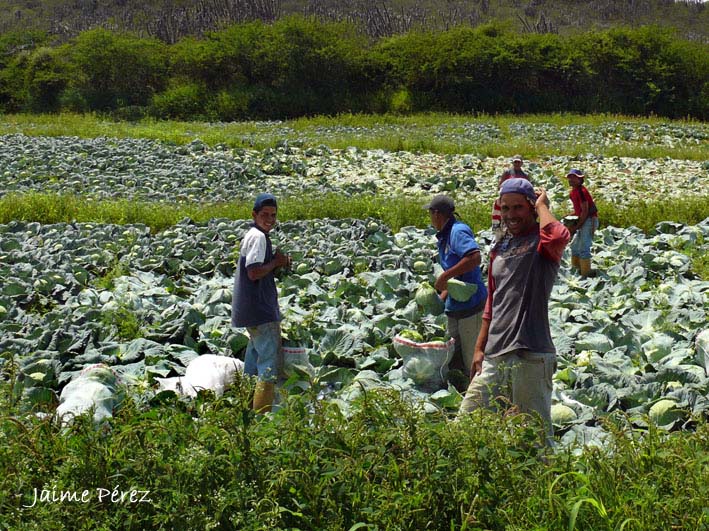 Foto de Carache (Estado Trujillo), Venezuela