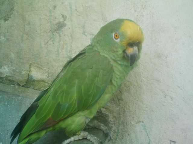 Foto de Cojedes, Venezuela