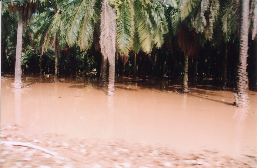 Foto de Quepos, Costa Rica