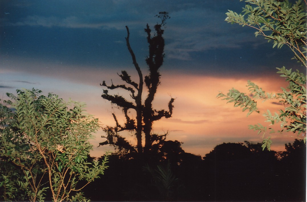 Foto de San Carlos del Arenal, Costa Rica