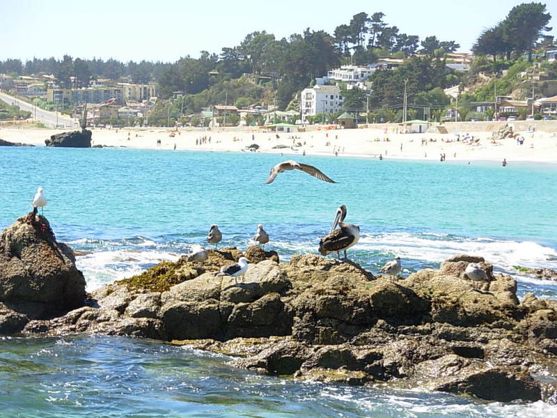 Foto de El Quisco, Chile