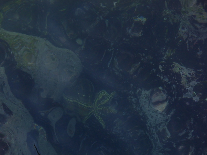 Foto de El Quisco, Chile