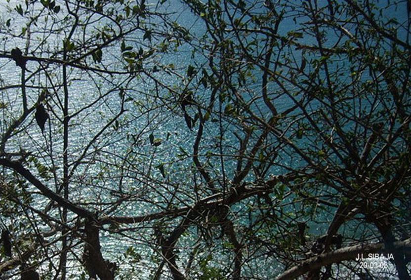 Foto de Paquera - Puntarenas, Costa Rica