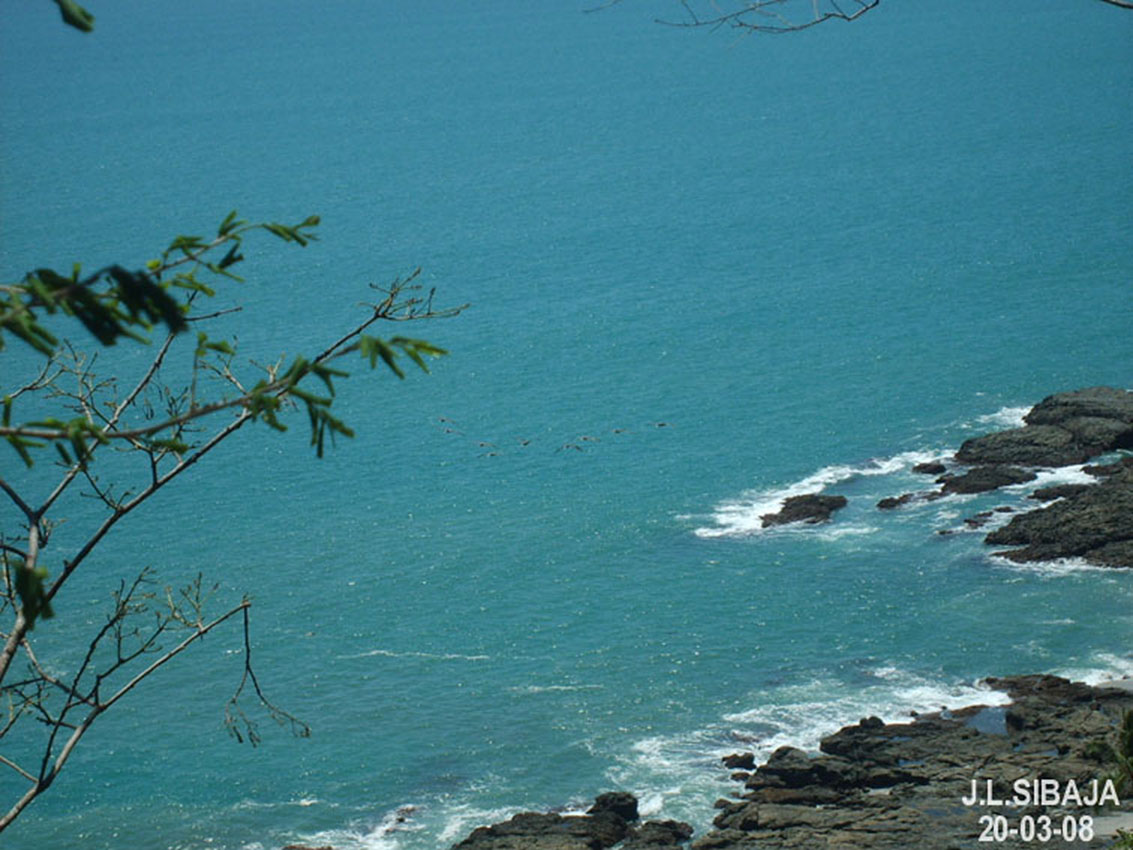 Foto de Montezuma - Puntarenas, Costa Rica