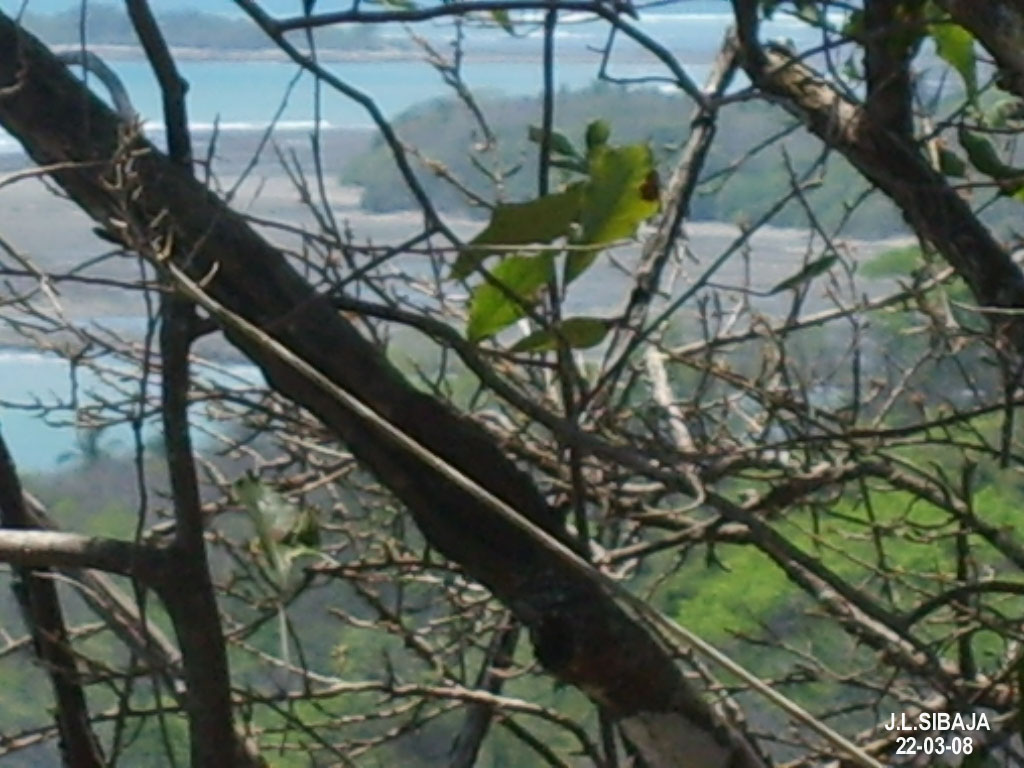 Foto de Montezuma - Puntarenas, Costa Rica