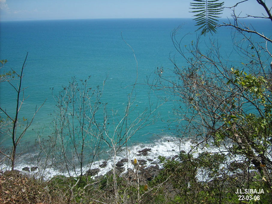 Foto de Montezuma - Puntarenas, Costa Rica