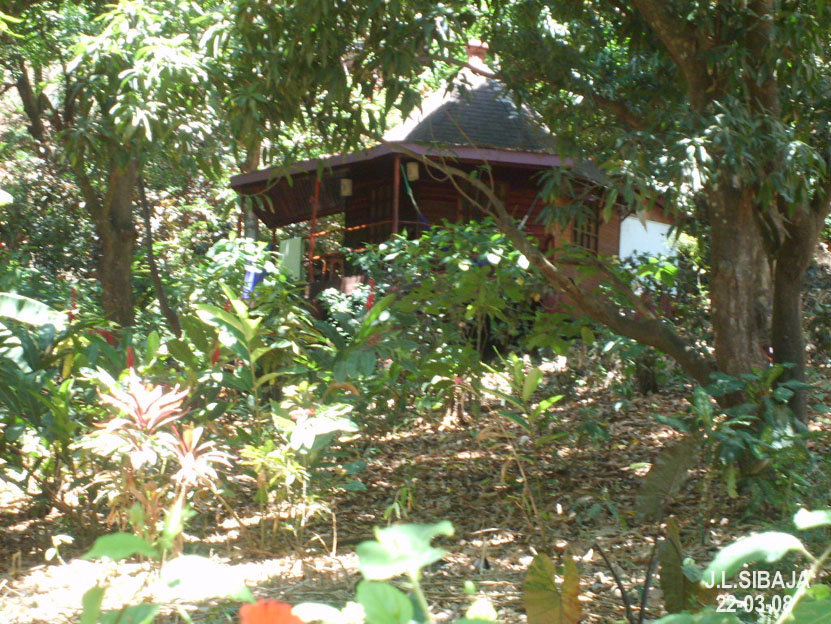 Foto de Montezuma - Puntarenas, Costa Rica