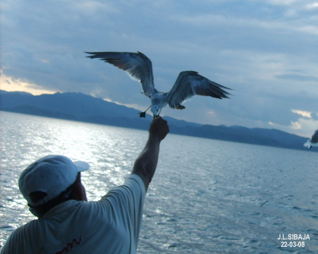 Foto de Paquera - Puntarenas, Costa Rica