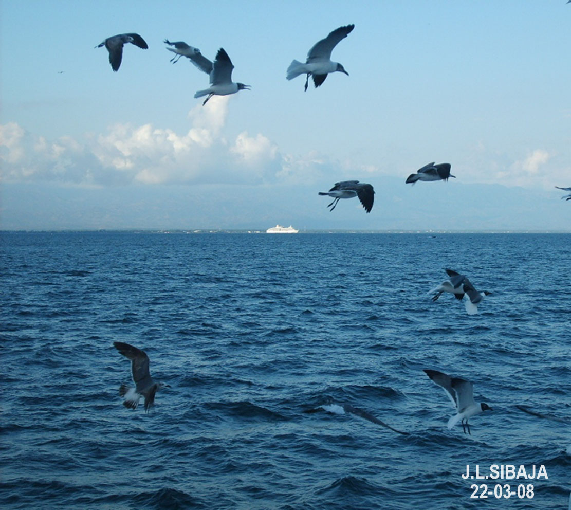 Foto de Puntarenas, Costa Rica