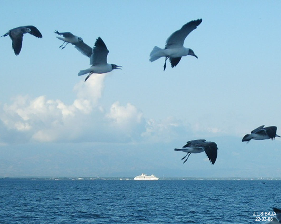 Foto de Puntarenas, Costa Rica