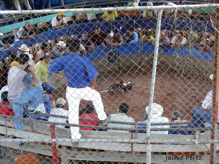 Foto de Carache (Estado Trujillo), Venezuela