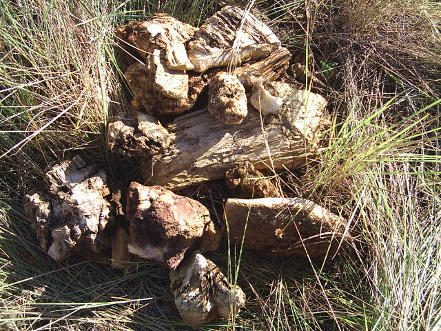 Foto de La Mesa, Veraguas, Panamá
