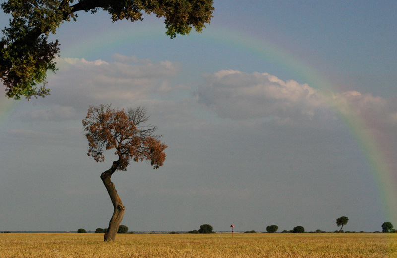 Foto de Palencia (Castilla y León), España