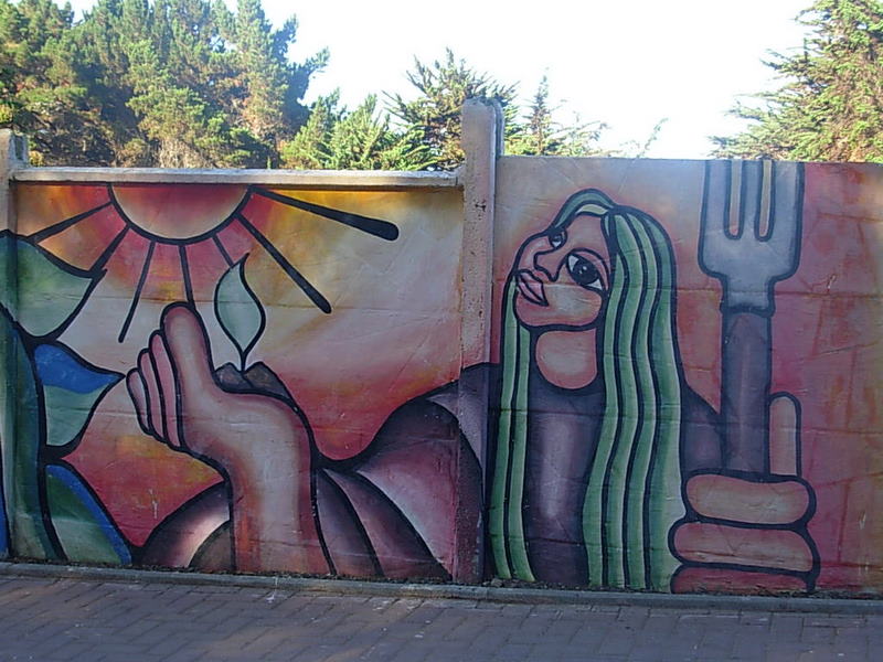 Foto de El Quisco - Isla Negra, Chile