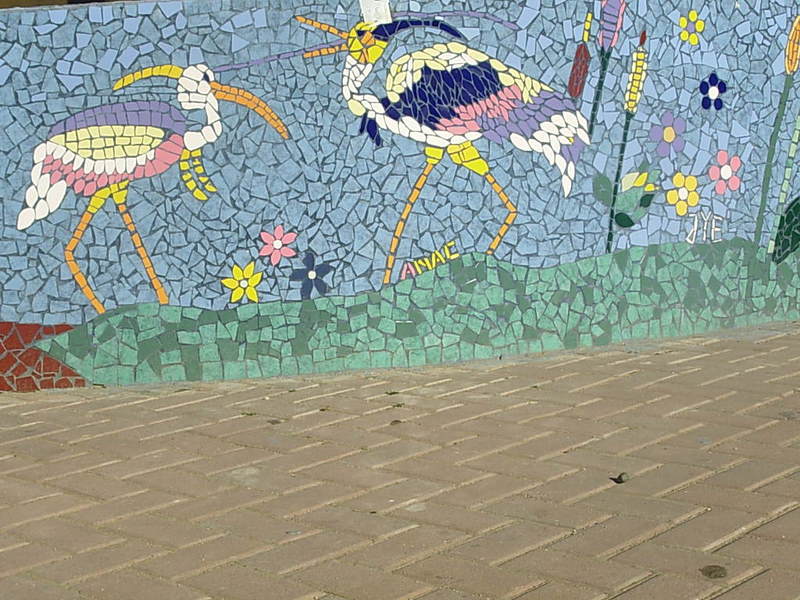 Foto de El Quisco - Isla Negra, Chile