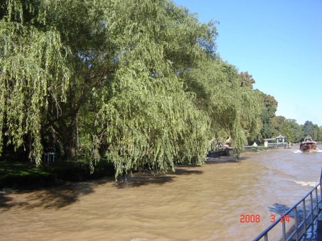 Foto de Tigre - Buenos Aires, Argentina