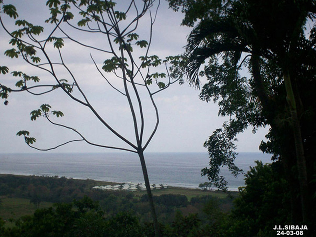 Foto de Jaco (Puntarenas), Costa Rica