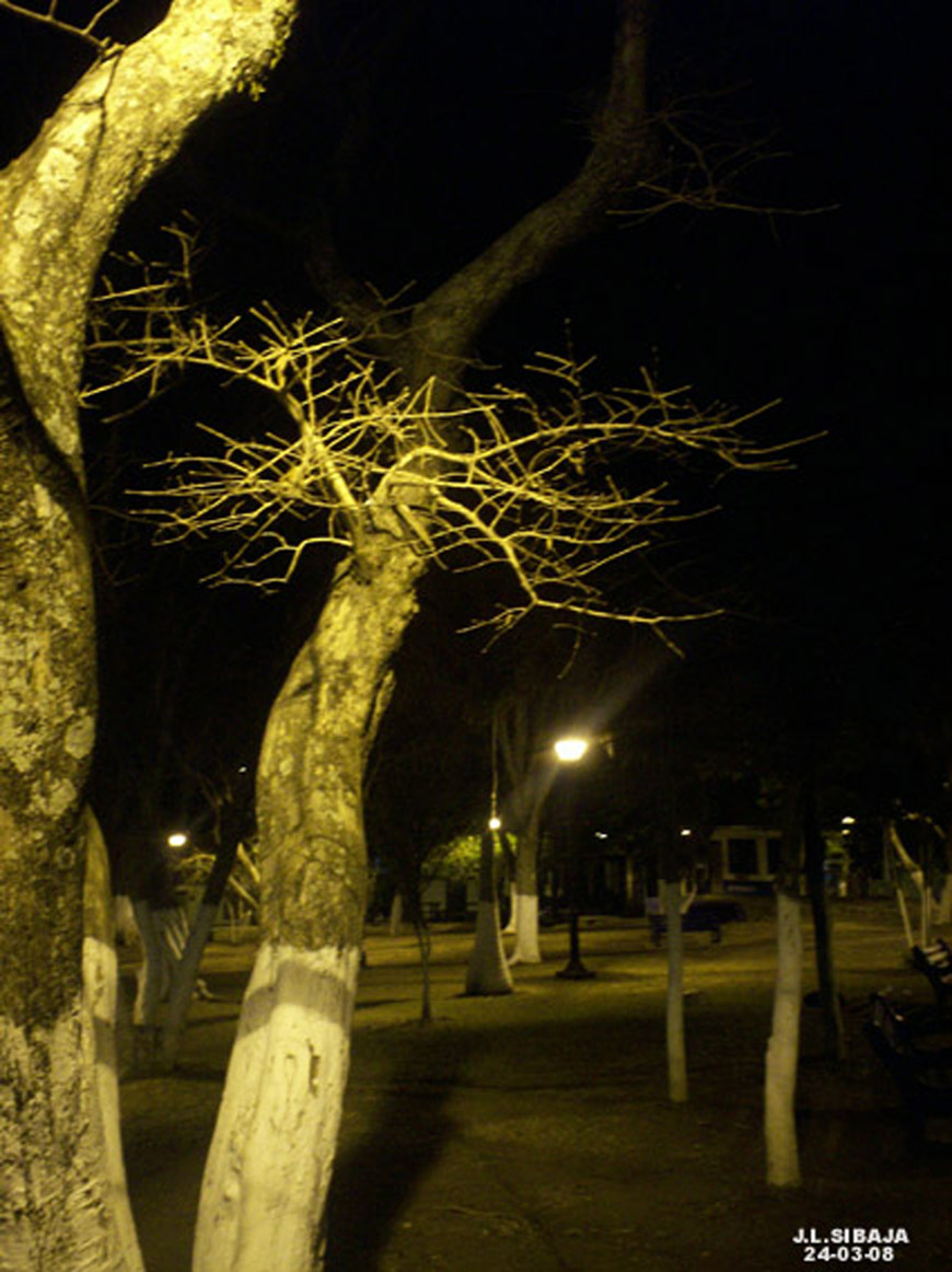 Foto de Santo Domingo (Heredia), Costa Rica