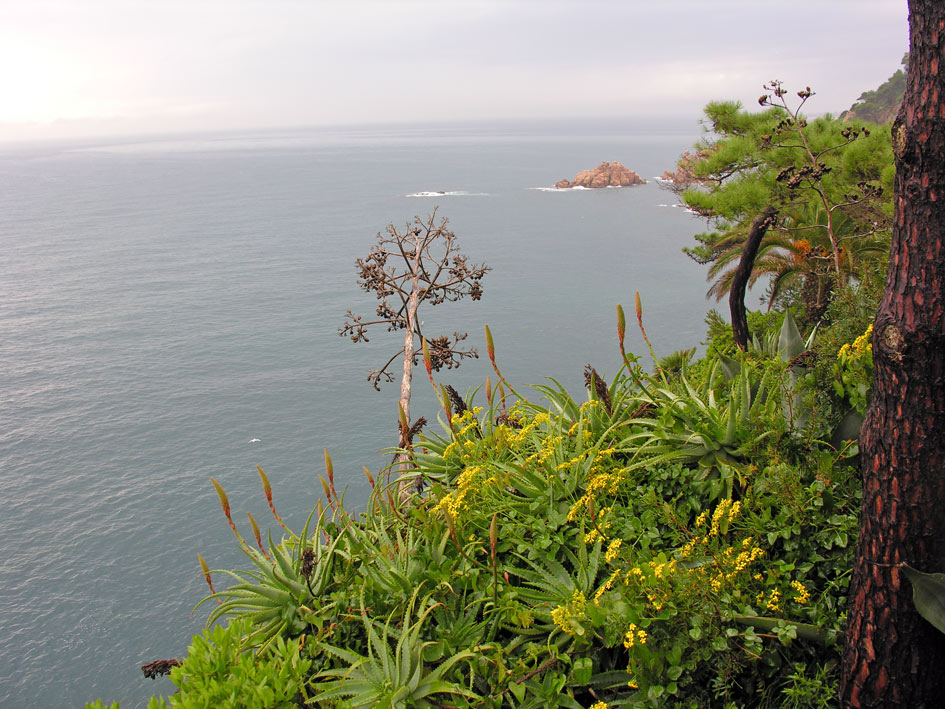 Foto de Blanes (Girona), España