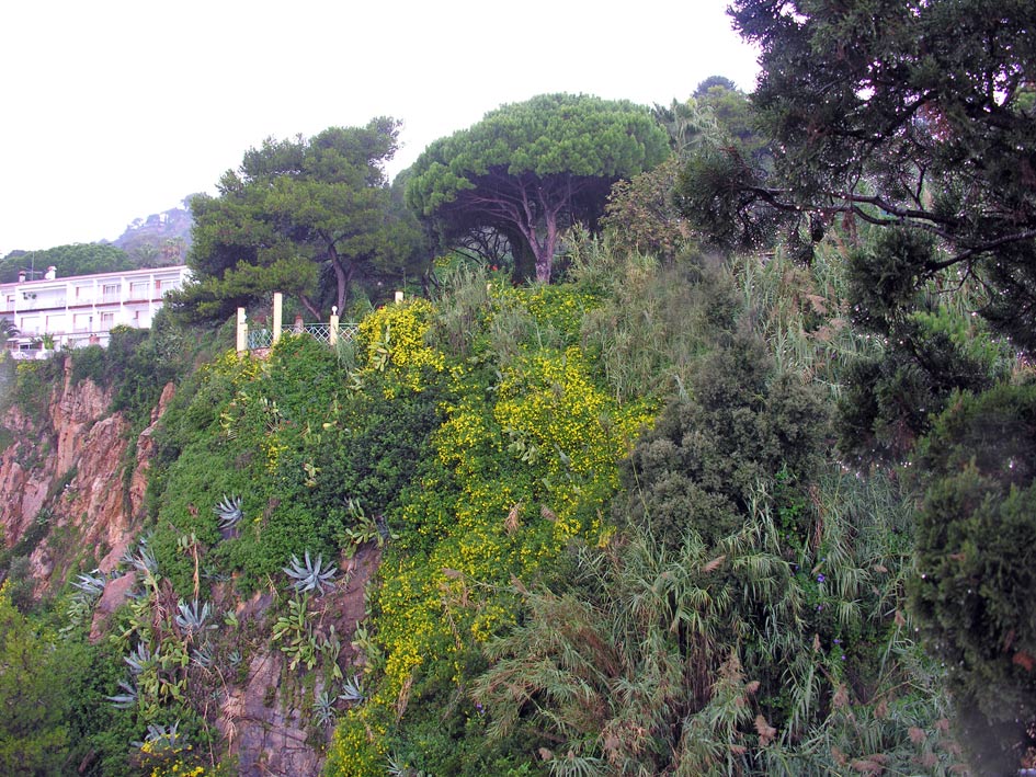Foto de Blanes (Girona), España
