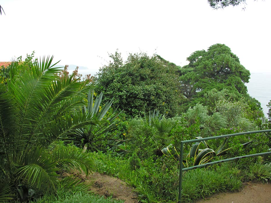 Foto de Blanes (Girona), España