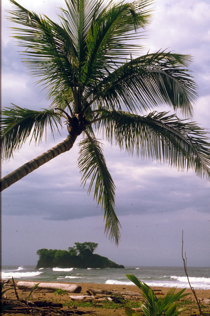 Foto de Cahuita, Costa Rica